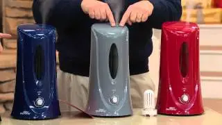 Air Innovations Clean Mist Ultrasonic Humidifier with Leah Williams