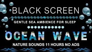 Soothing Ocean Waves Sounds 🌊 Black Screen Sound Therapy for Inner Peace, Relax Mind & Body 🐬