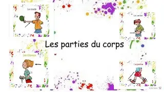 Les parties du corps. Apprendre le corps humain. أجزاء جسم الإنسان بالفرنسية