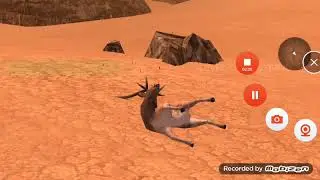 lvl 13-16 game DEER ANIMAL AFRICA// offline