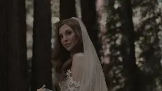 Santa Cruz Mountains Wedding Film | Cinematic | Shot On Sony