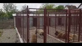 Building of 💎Diamond Stock kennel💎