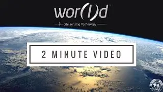 Official Wor(l)d Global Network 2 Minute Video