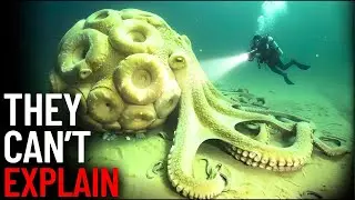 Why Squids Become Unrecognizable the Deeper You Go