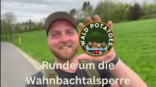 Naturregion Sieg: Runde um die Wahnbachtalsperre mit Papso als Wandergastpotato