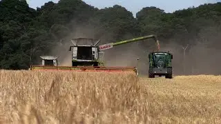 Harvest 2017: Winter barley yields average to good on Suffolk estate