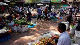 Morning Market at Nom Village in Red River Delta Vietnam: Just 30km from Hanoi