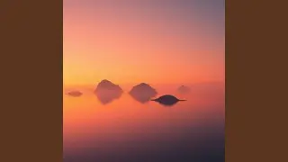 Shoreline Dreams