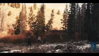 Christmas Tree Haul in the Uintas