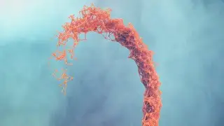 True plexus effect with DP instance (Lightwave 3d tutorial)