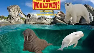 Who Would Win: Ultimate Snow Rumble