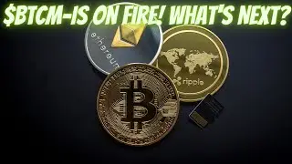 #BTCM-Is On Fire! What's Next?