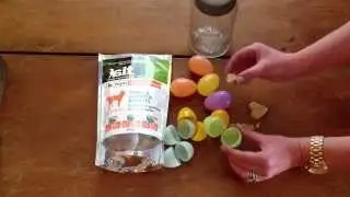 Easy Easter Egg Hunt Fun for Dogs with Rayne Treats