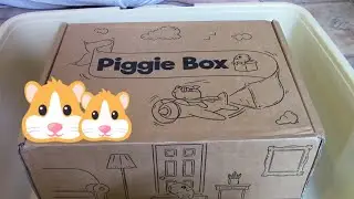 Piggie  Box Unboxing April 2020! 😍