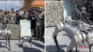 Beijing Shows Off Robot Dogs Armed With Machine Guns