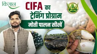 How To Do Pearl Farming और कहां से लें Training? Aquaculture | Krishi Ki Baat | Moti Palan