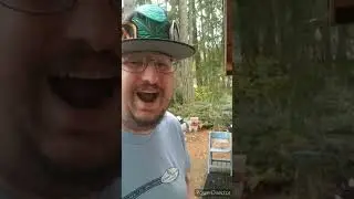 Trying Binoid THC-B First Time #thcb #shorts #weed #binoid #thcp #thco #thc #hemp #marijuana #legal