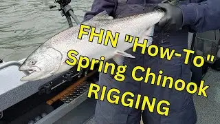 FHN 