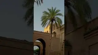 Mix felling in one video #emotional #golden_hour #hyperlapse #kids #loop #photography #sky