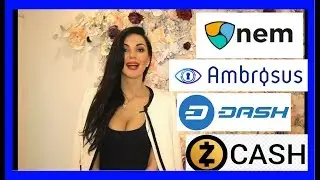 Anna Vasilevskaya Analyses Masternodes of Dash, Ambrosus, NEM, Zcash