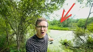 I Discovered a Secret Fishing Spot in the Woods