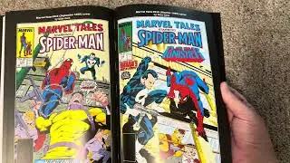 The Punisher Back to the War omnibus