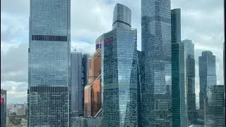 Воронежский цирк «Империя львиц»