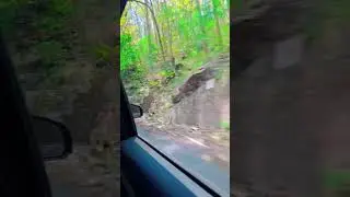 #viral #video #treviling