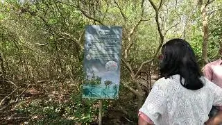 Kali Island 6