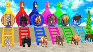 Long Slide Game with Cow Elephant Gorilla Hippopotamus Tiger 3d Animal Game Funny 3d Animals