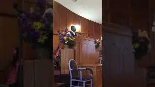 Rev James Parker &ldquo;wolf country&rdquo;