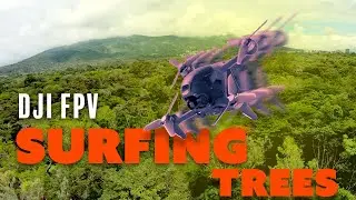 DJI FPV | FLYING OVER TREES drone camera 4K 60FPS H265 MOV ROCKSTEADY