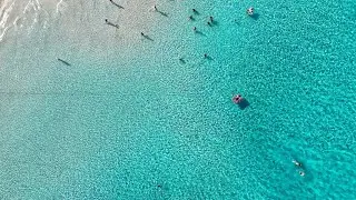 Spiaggia della Pelosetta + La Pelosa #Stintino #Sardinia #Italy #⛱️