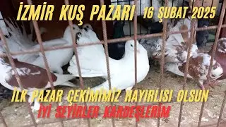 İZMİR KUŞ PAZARI  ,HOBİ PEŞİNDE  #1 #izmirkuşpazarı