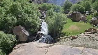 Pure Nature's Art