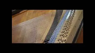 Steinway Square Piano Resonance
