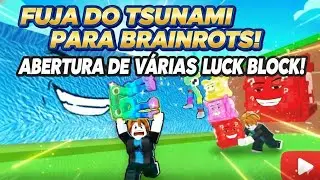 Abertura de LUCK BLOCKS no FUJA do TSUNAMI