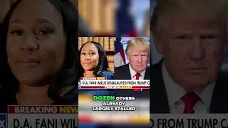 Georgia Court Disqualifies D.A. Fonny Willis in Trump Case