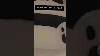 Squishmallow reveal-