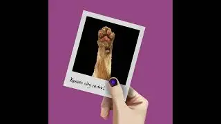 Rotting Your Retinas w/ Brittany Tilander (ft. Hannah Unruh, Marian McClellan, Abbey Rose)