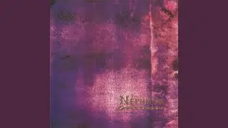 Psychonaut Lib. I