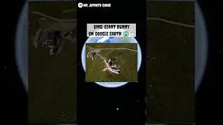 OMG I found giant Bunny on Google map and Google Earth #shorts #ytshort #tranding #viral