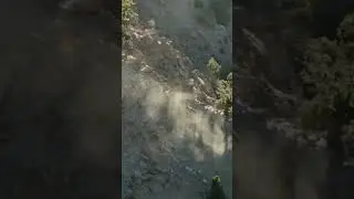 Markhor domination in mating season #shorts