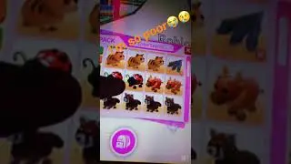 Adopt me inventory tour I&rsquo;m so poor 😭