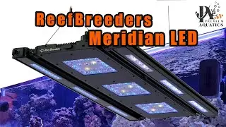 New Reef Breeders Meridian & Meridian Edge LEDs