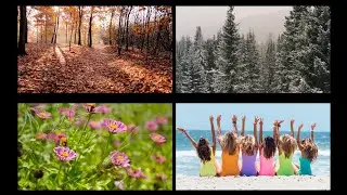 Seasons #short