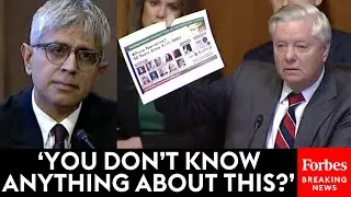 Lindsey Graham Grills Key Nominee About Connection To Controversial Academic Group