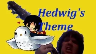Hedwig's Theme on Guitar