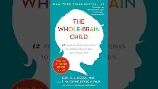 The Me-We Connection | Chapter 6 - The Whole-Brain Child