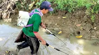 Tipe Setrum Serba Bisa, Spesialis Belut Ikan